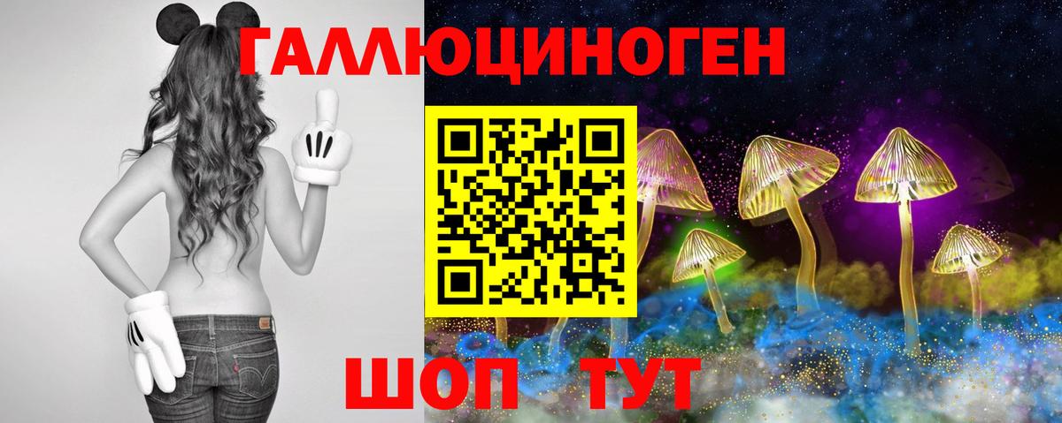 Жигулёвск  Галлюциногенные грибы Cubensis  Вход с VPN  Псилоцибиновые грибы Psilocybine cubensis 